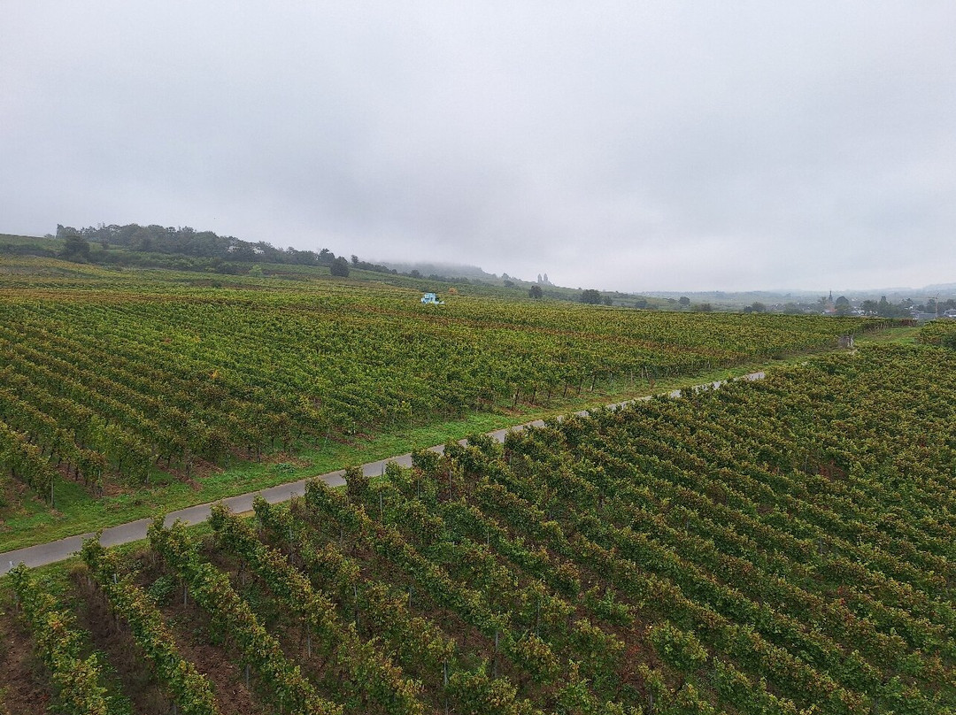 Seilbahn Rudesheim-吕德斯海姆必去景点