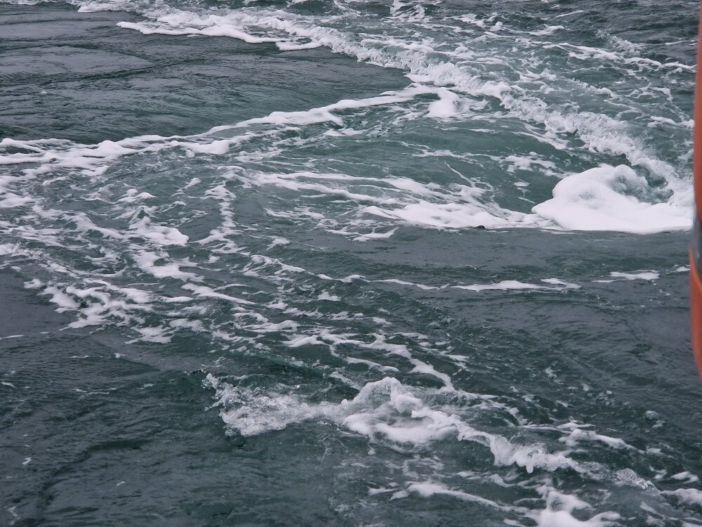 Islay Sea Adventures-Port Ellen必去景点