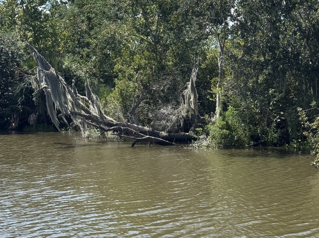 Louisiana Tour Company-Crown Point必去景点