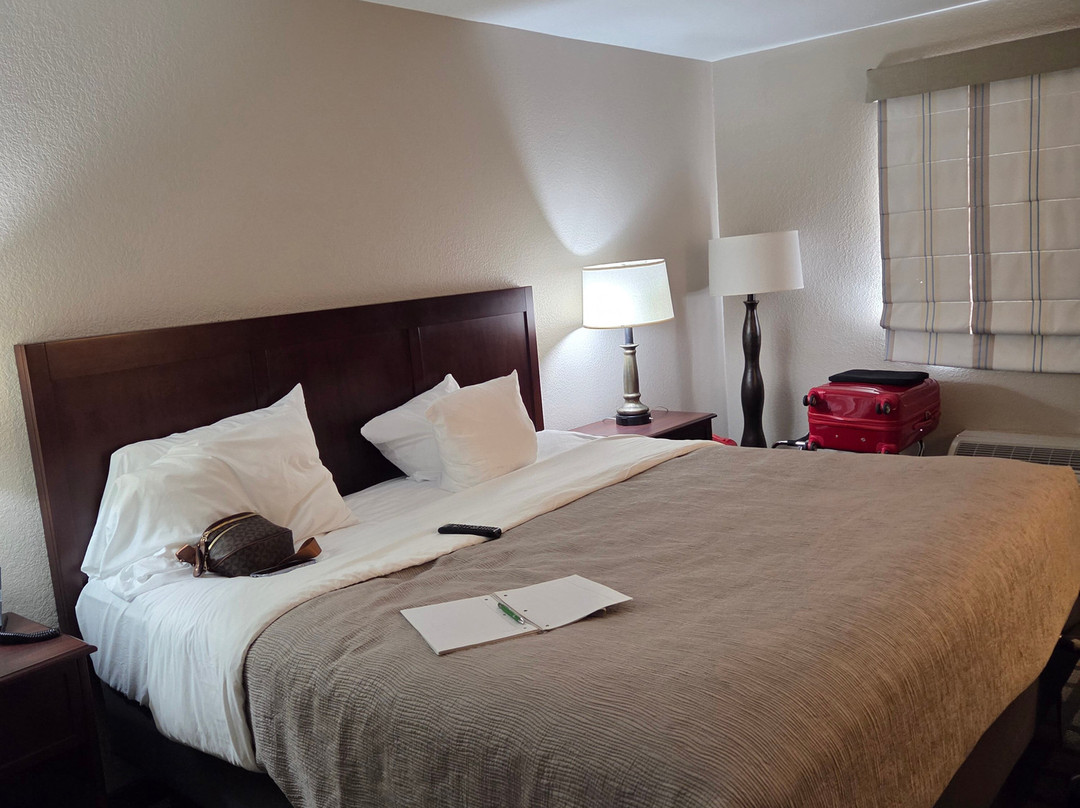 Quality Inn & Suites主图