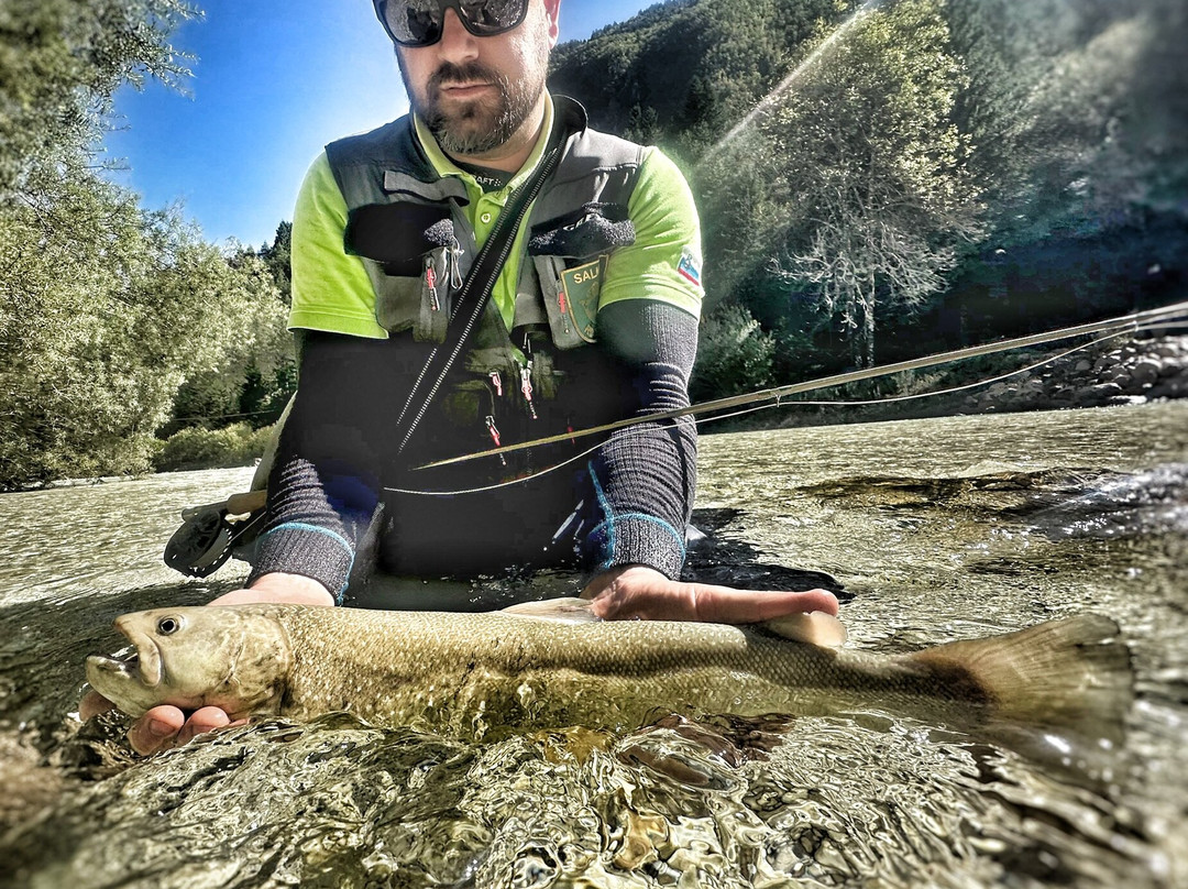 Fly Fishing Alpe Adria-Domzale必去景点