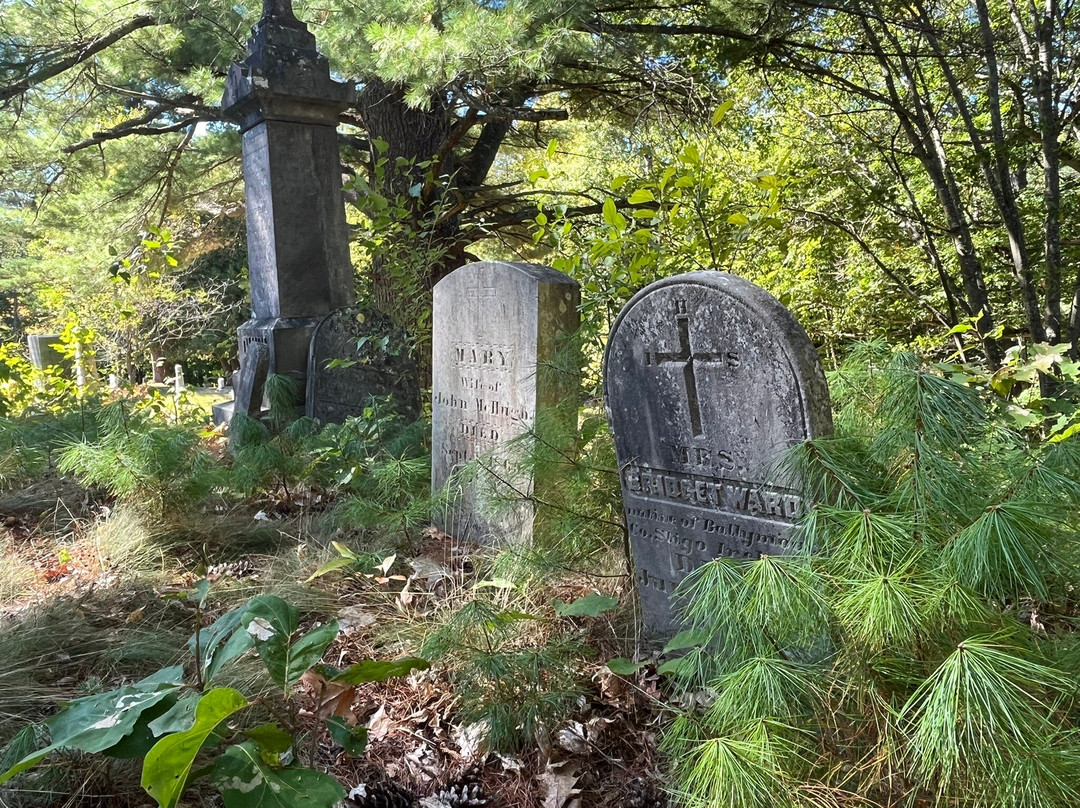 Mount Hope Cemetery-班戈必去景点