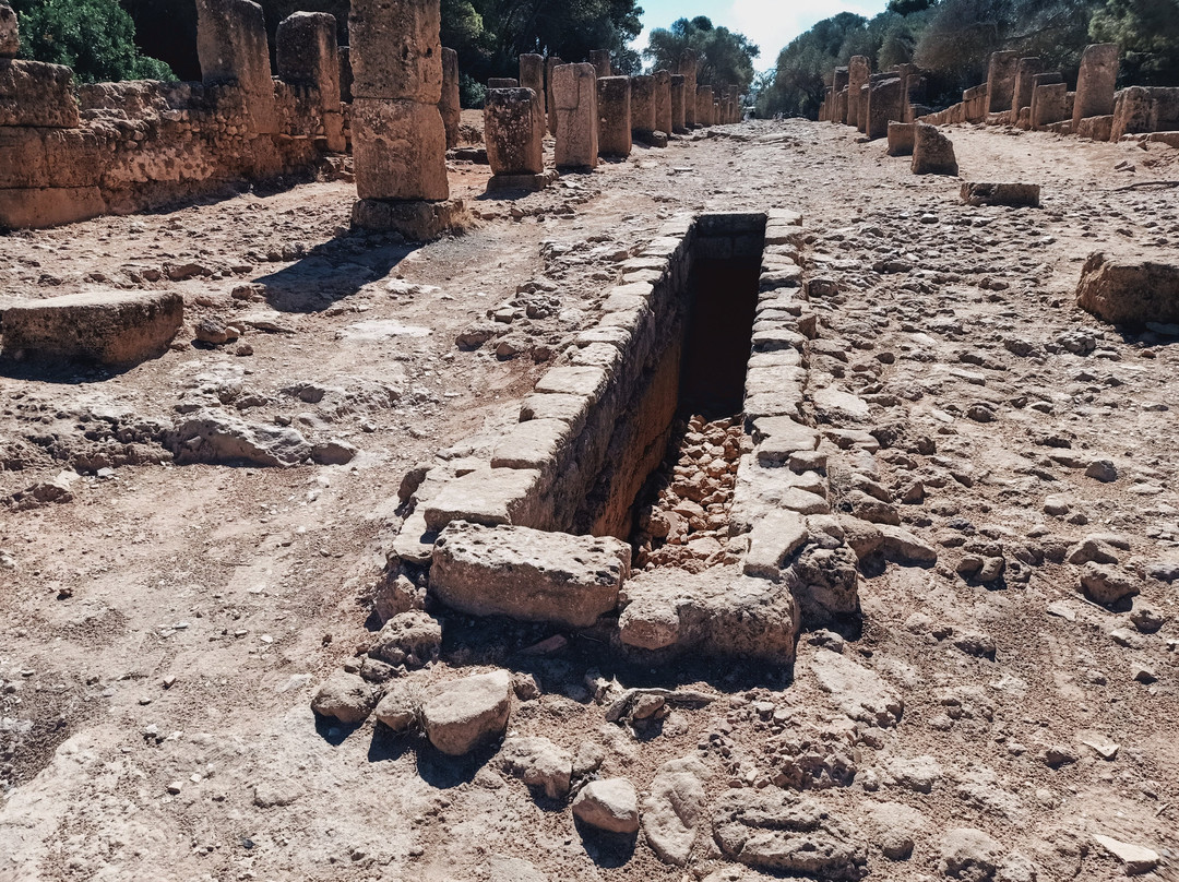 Ruines Romaines Tipaza-蒂帕萨必去景点