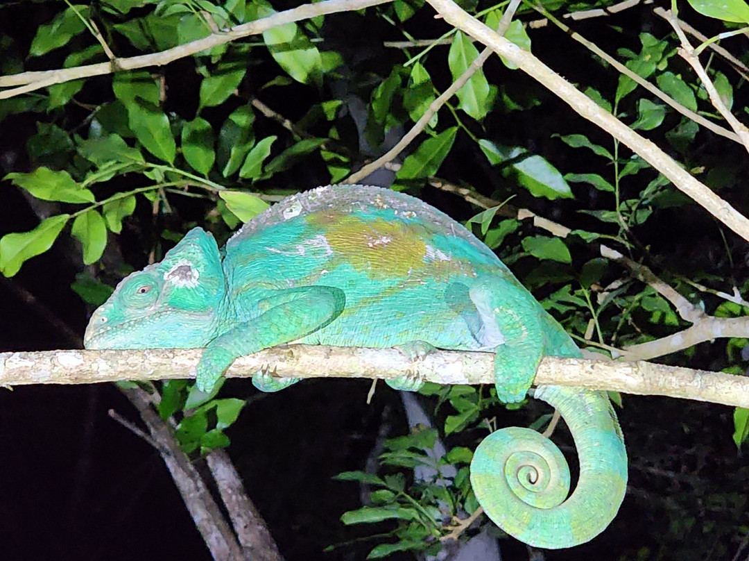 Soul of Madagascar Tours-Toamasina (Tamatave)必去景点