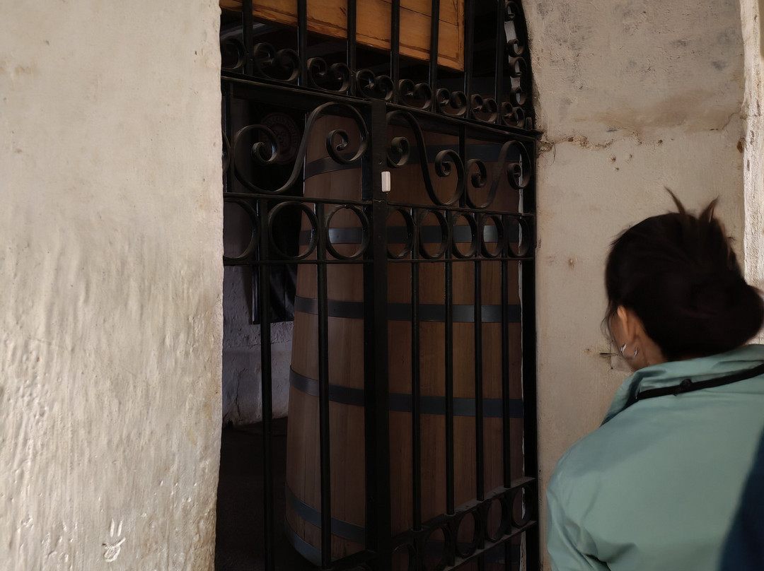 Fundo Los Nichos-Pisco Elqui必去景点