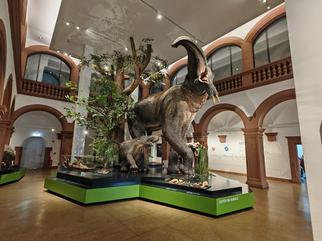 Naturhistorisches Museum Mainz-美因茨必去景点