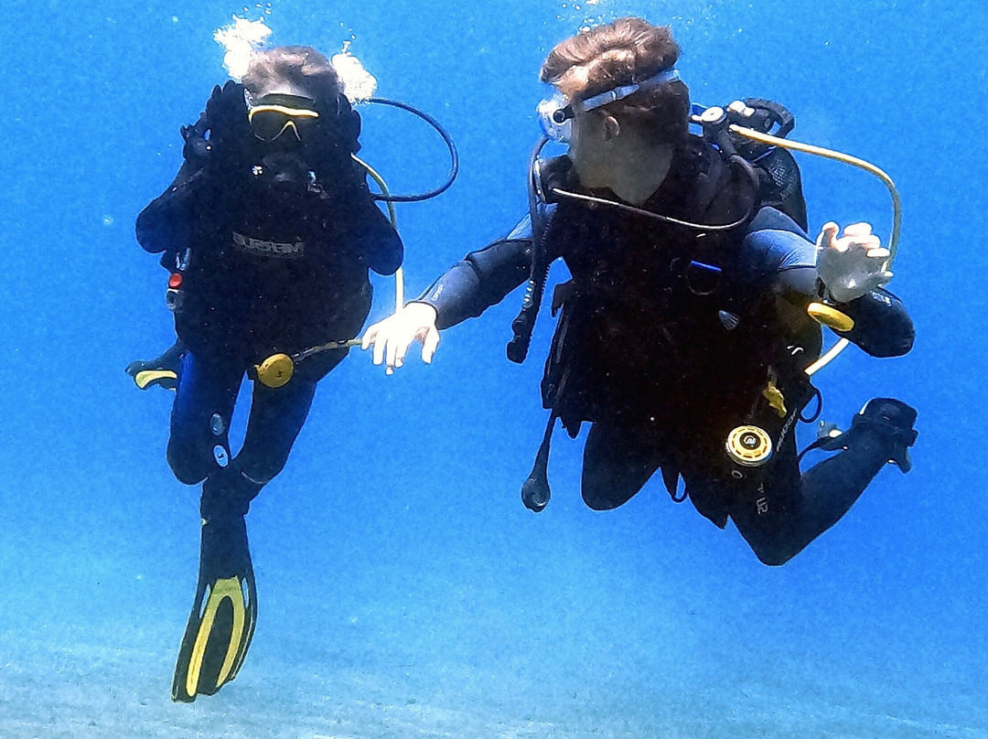 Tenerife Into The Blue - Dive In The Adventure-Abades必去景点