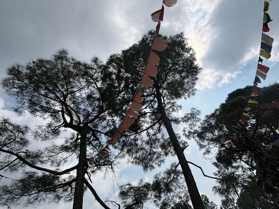 Go4Explore-诺伊达必去景点