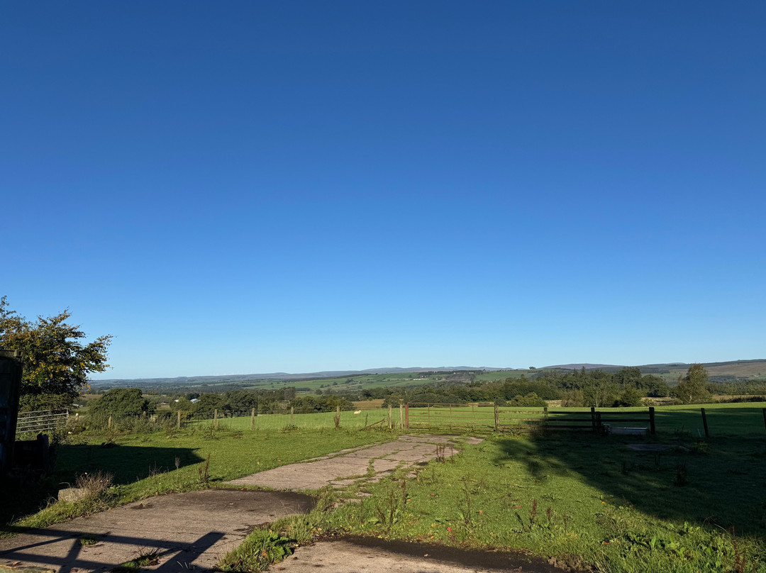 Bessiestown Farm Country Guesthouse主图