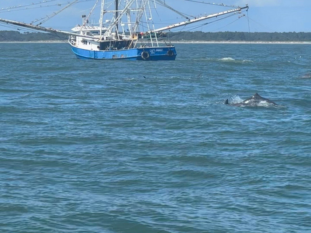 Myrtle Beach Dolphin Cruises-美特尔海滩必去景点