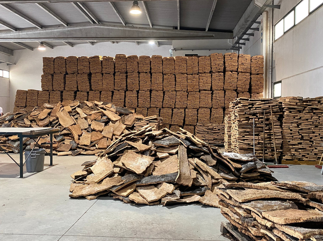 Corticarte - Arte em Cortica-Azaruja必去景点