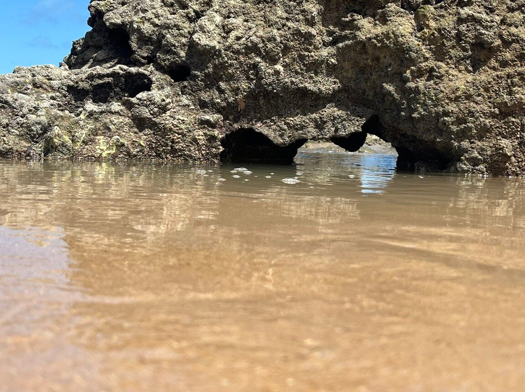 Praia de Coqueirinho-Conde必去景点
