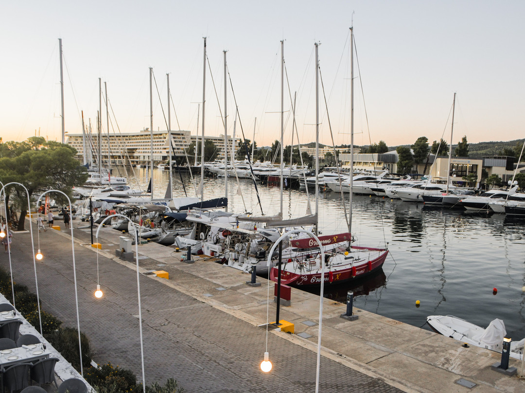 TSIPOURAKI Greek Gastronomy