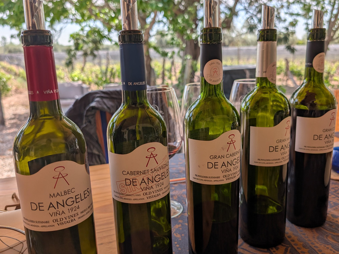 Bodega De Angeles Viña 1924-路冉得库约必去景点