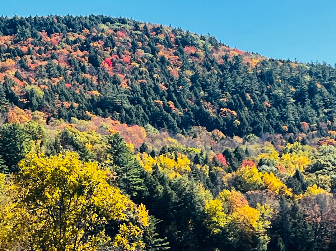 Revolution Rail Co. Thurman