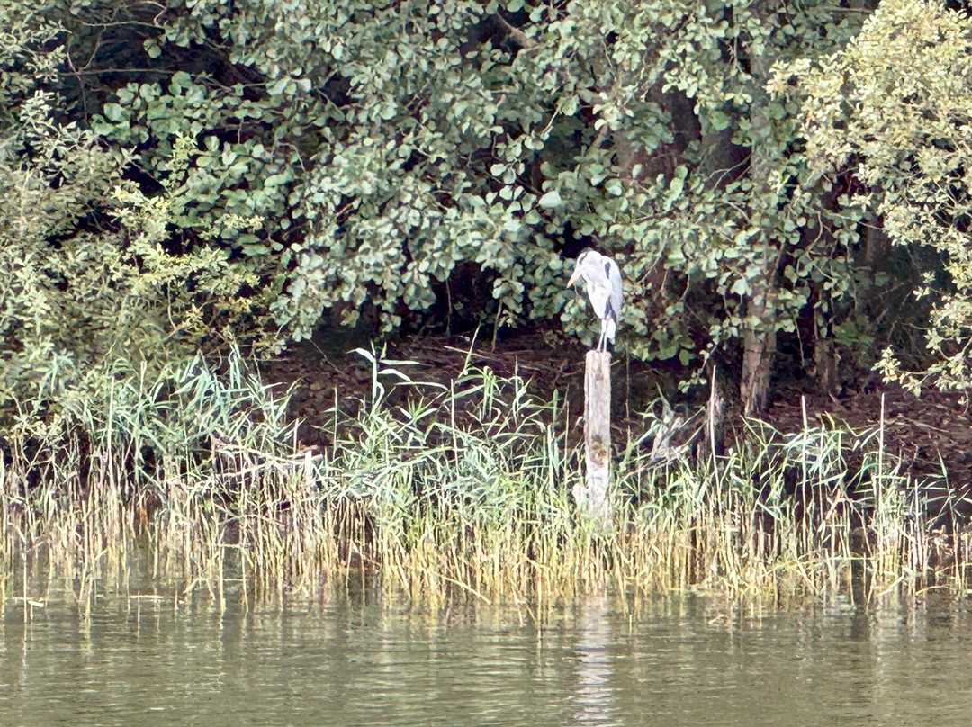 Le Boat - Jabel-Jabel必去景点