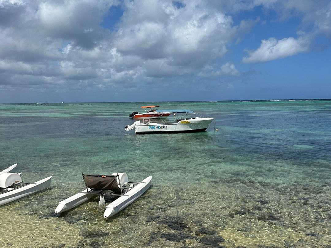 Paradisio Excursions Ile Maurice-大湾必去景点