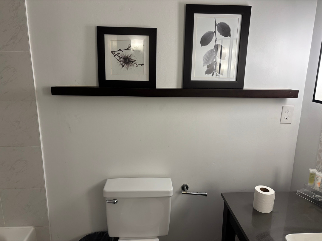 Country Inn & Suites by Radisson, Jackson, TN主图