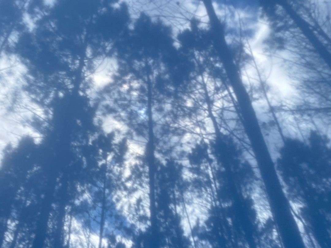 Beyond Bike-Windmeul必去景点