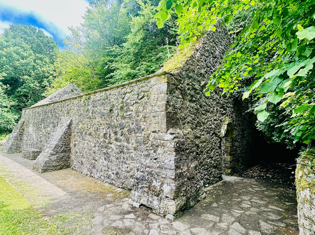 St. Patrick's Well-Clonmel必去景点
