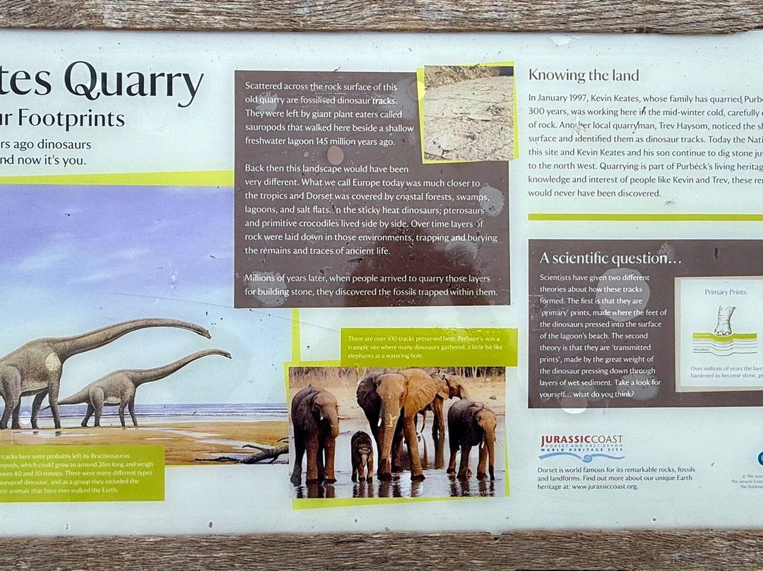 Keates Quarry Dinosaur Footprints-Langton Matravers必去景点