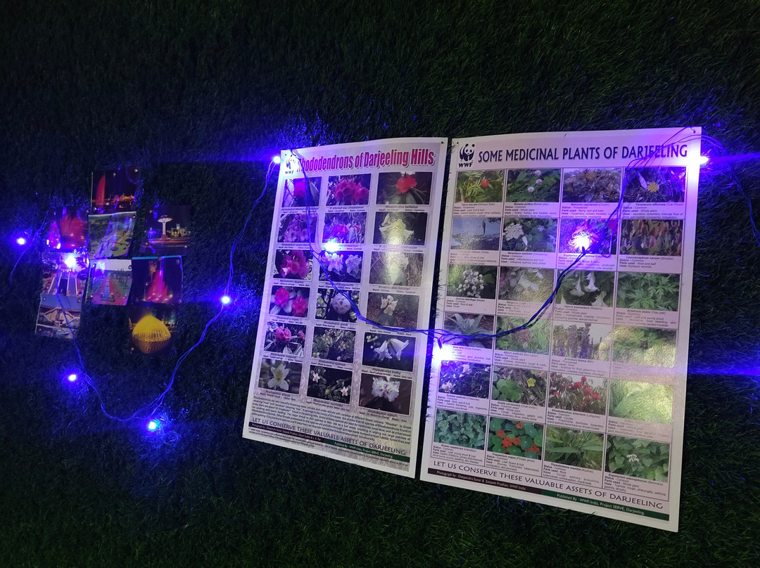 Casero Kolakham主图