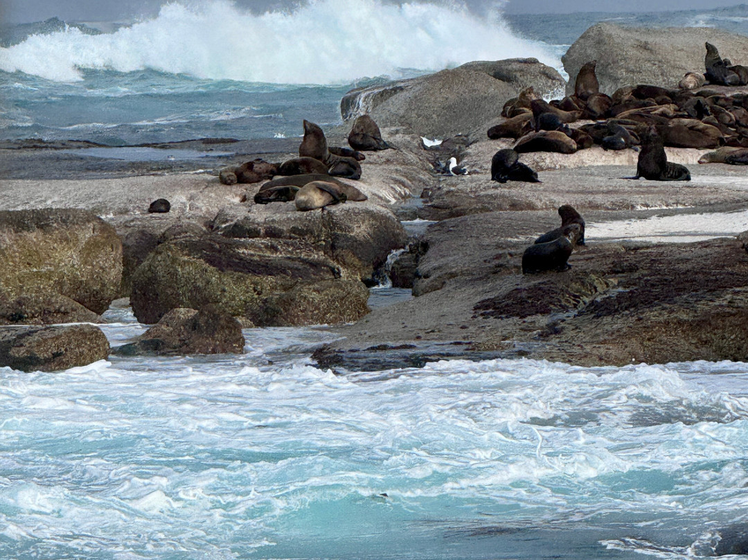 Drumbeat Charters-木湾必去景点