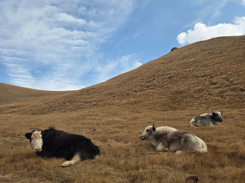 Kyrgyz Trip-比斯凯克必去景点