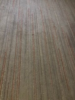 杨克斯希尔顿恒庭旅馆&套房酒店主图