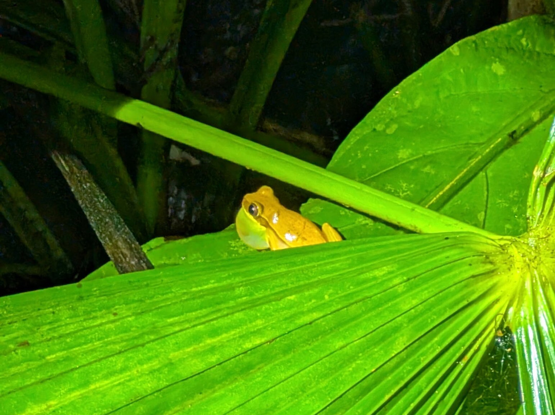 Manuel Antonio Expeditions-哥斯达黎加安东尼奥国家公园必去景点