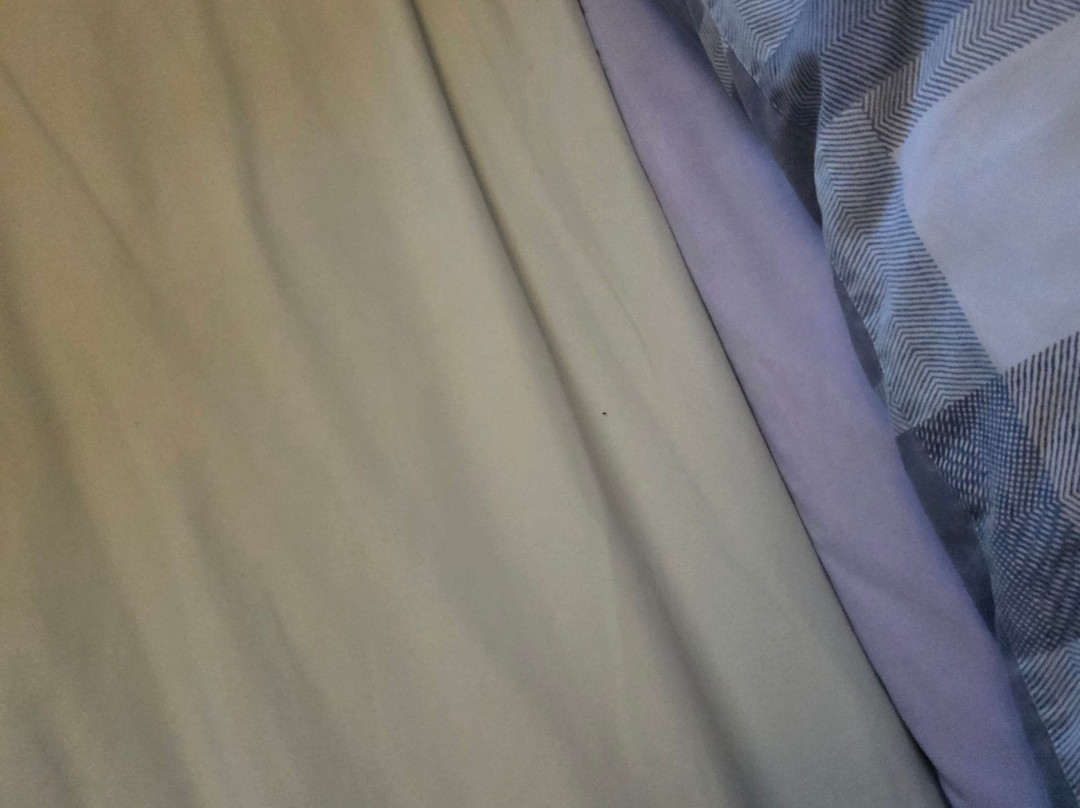 The Villa Hotel主图