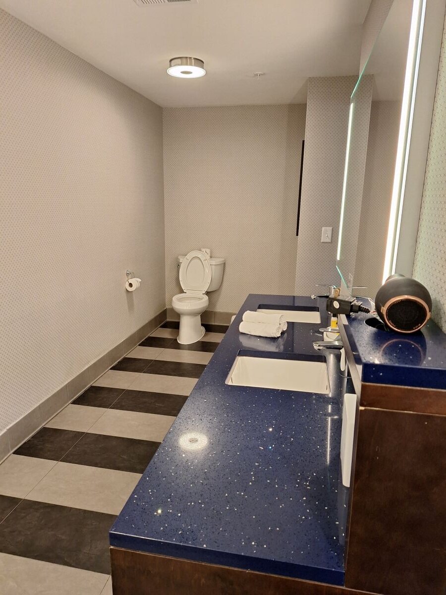 Glō Best Western  Savannah-gateway I-95-浴室