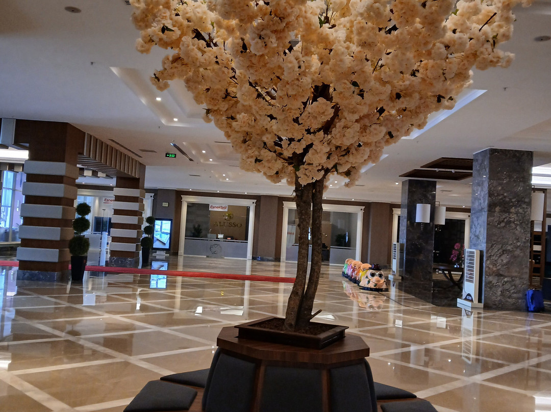 Alusso Thermal Hotel Spa & Convention Center主图