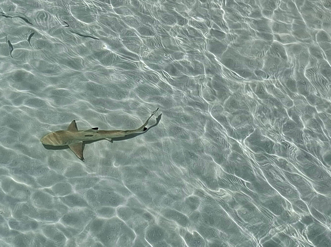 Gadifuri - Kedhigandu Causeway-Gadifuri必去景点