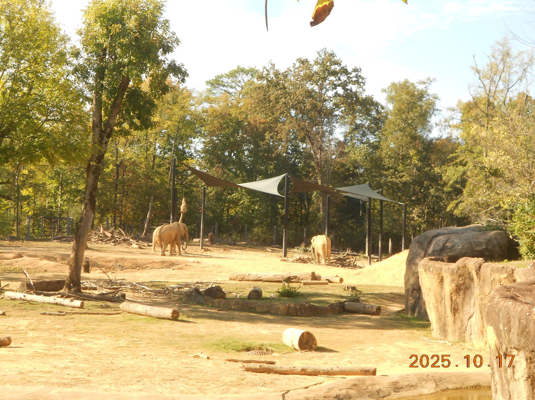 Birmingham Zoo-伯明翰必去景点