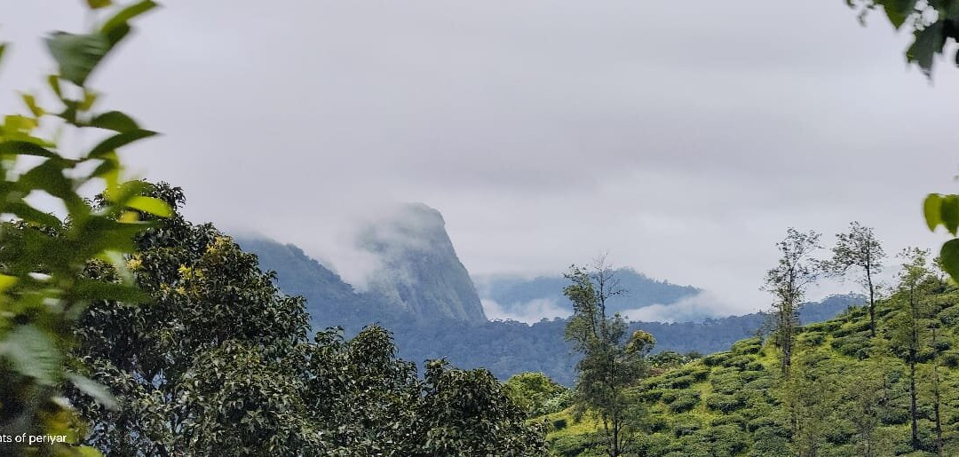 Joshua Tours-Irinjalakuda必去景点