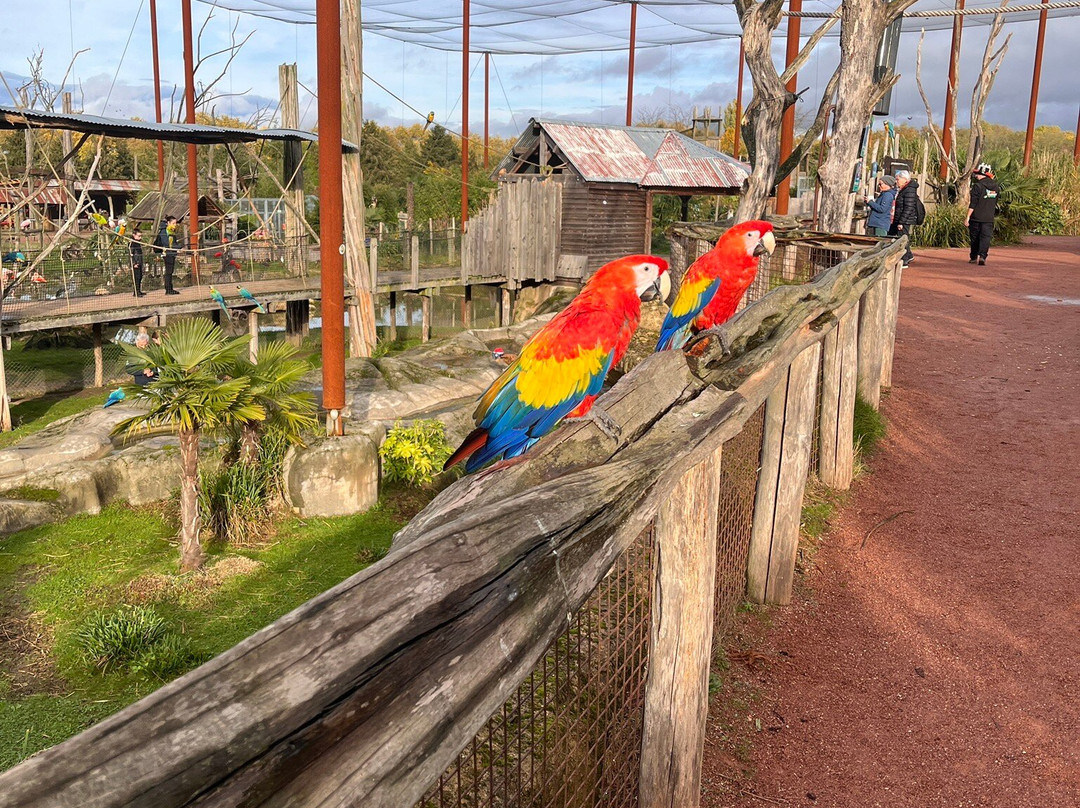 Parrot World-Crecy-la-Chapelle必去景点