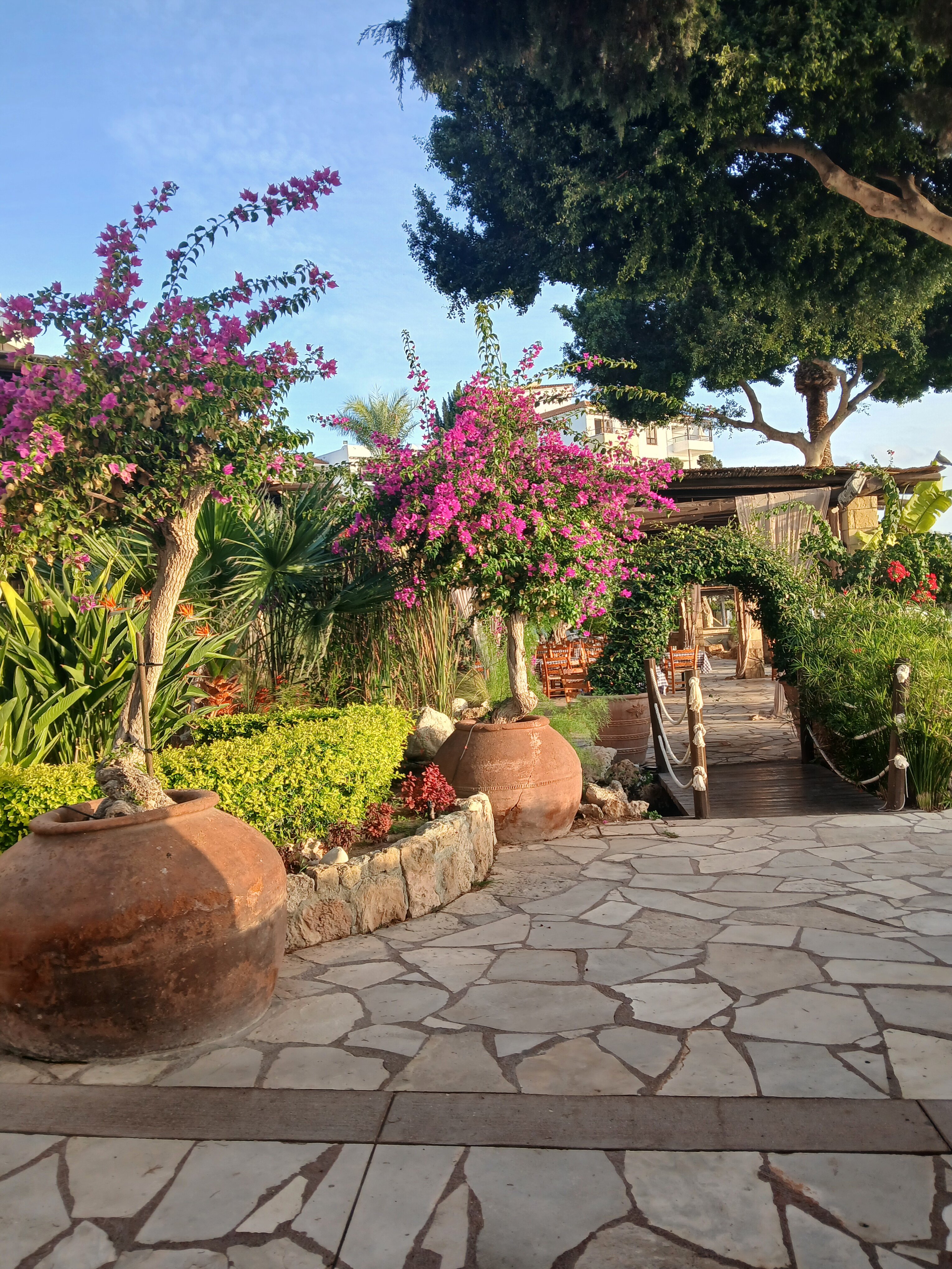 Coral Beach Hotel & Resort-泳池