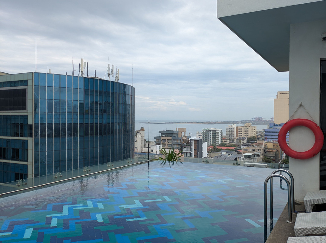 Mandarina Colombo主图