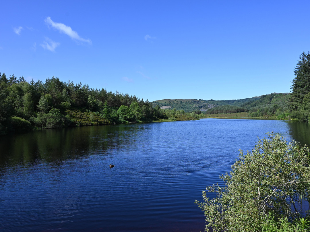 Three Lochs Forest Drive-Aberfoyle必去景点
