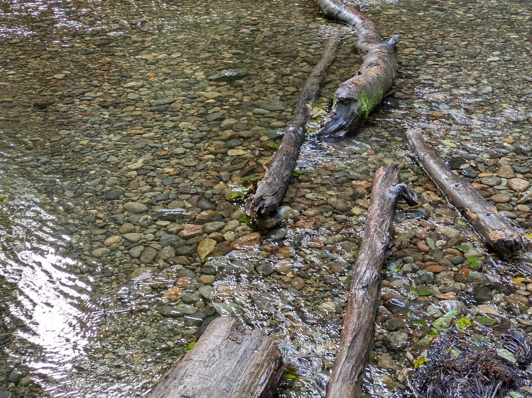 Fern Canyon-Orick必去景点
