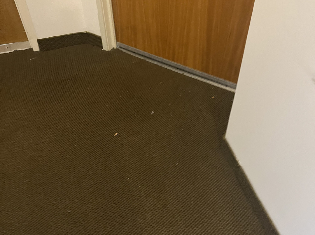 One Xalapa Las Animas主图