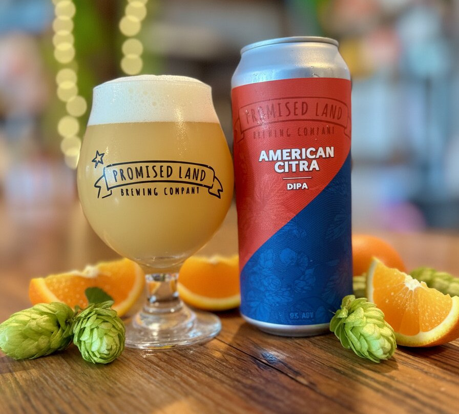 Promised Land Brewing Company-吉尔罗伊必去景点