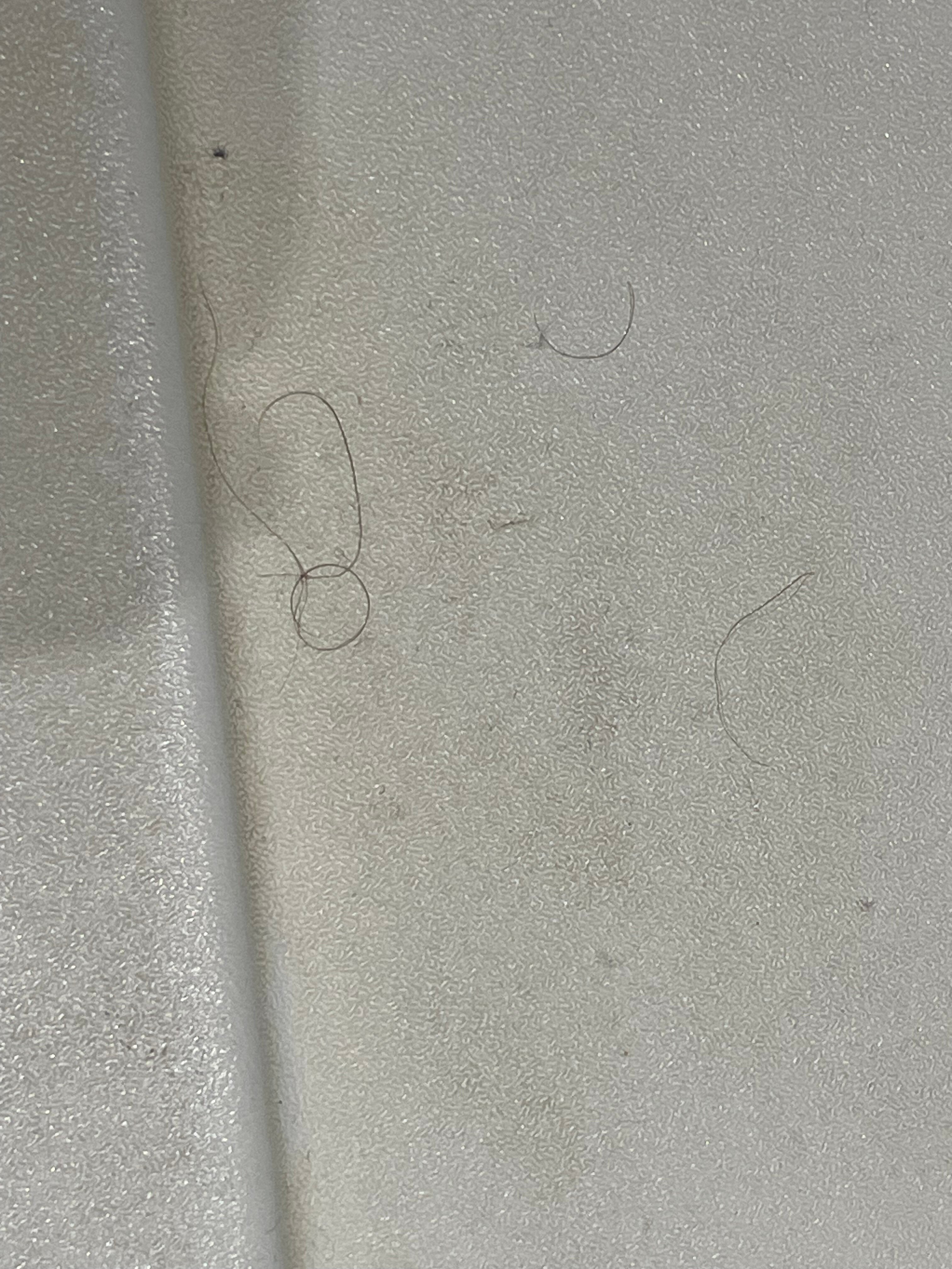 兰开斯特假日酒店-浴室