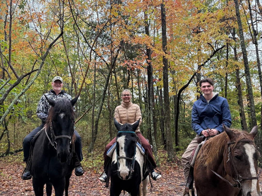 Kay’s Acres-Suffolk必去景点