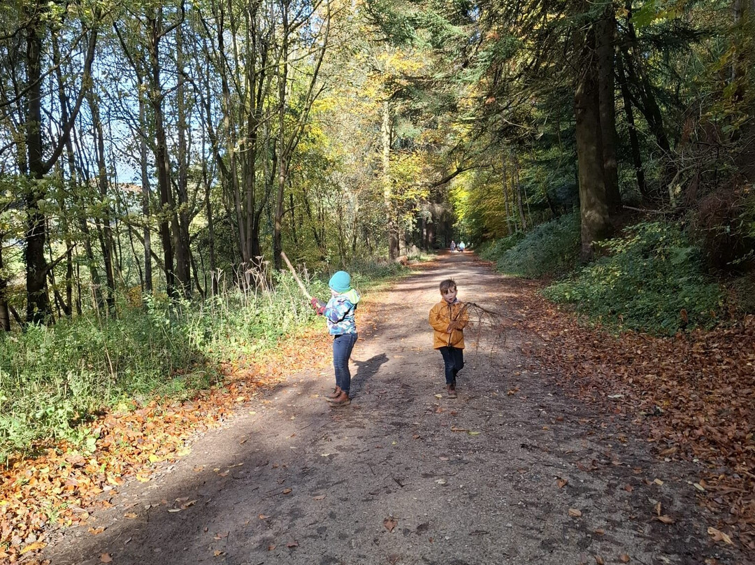 Dalby Forest-皮克灵必去景点