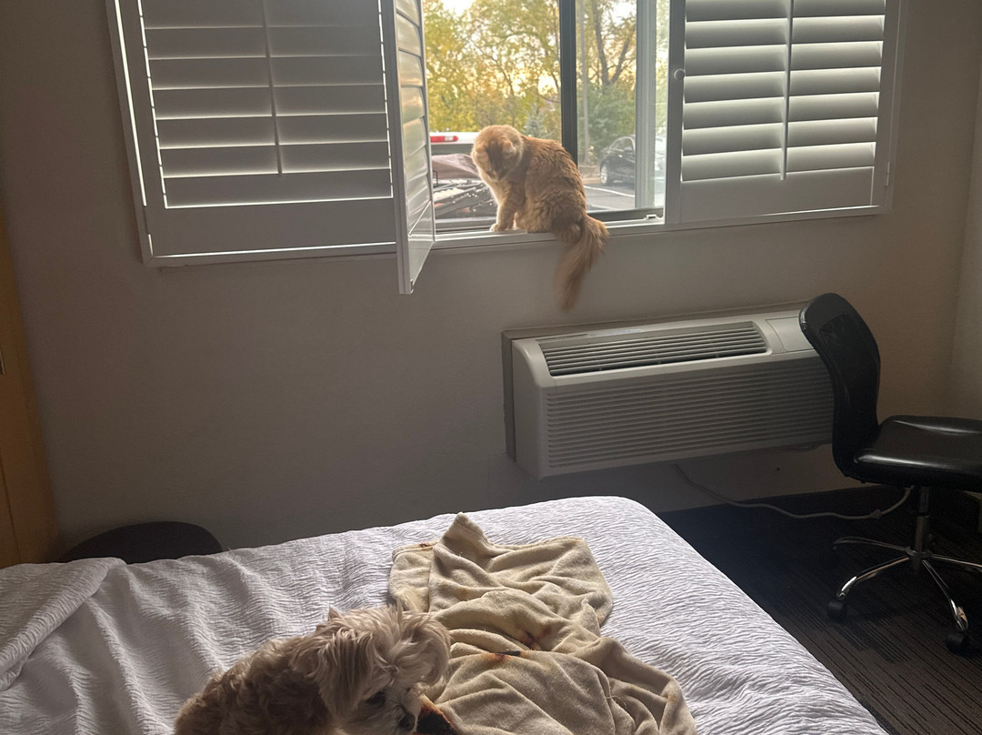 LivINN Hotel St. Paul – I-94 – East 3M Area主图