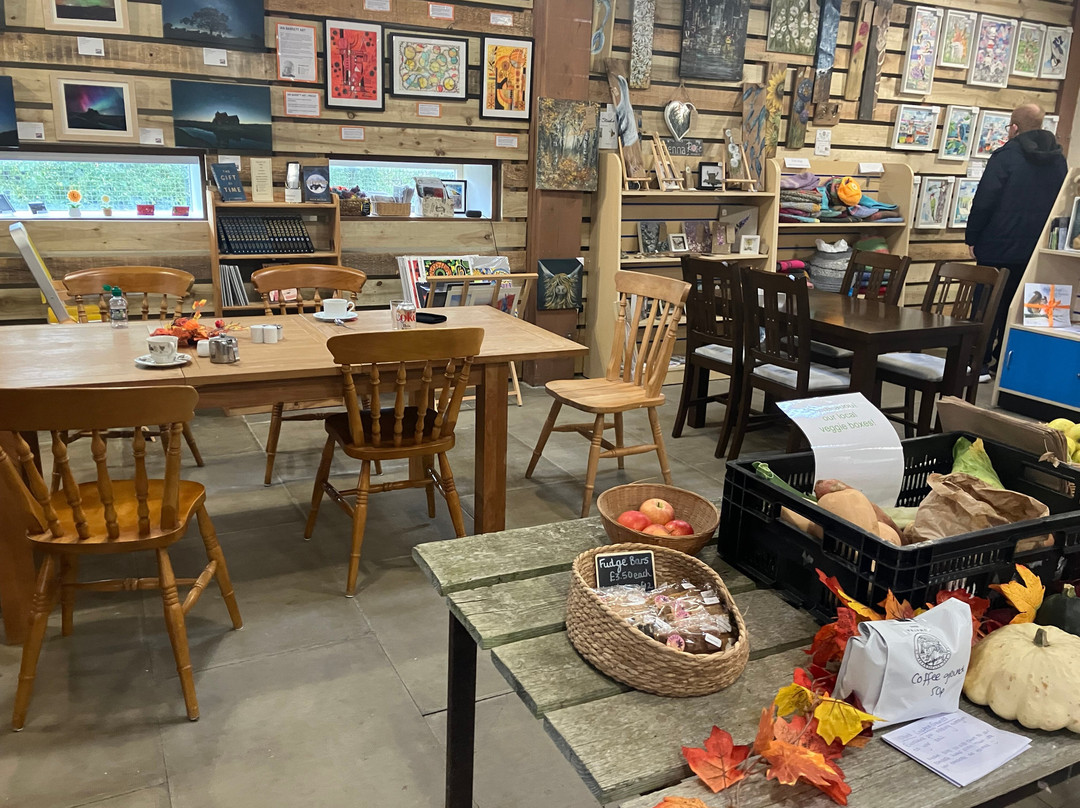 Romney Marsh Visitor Centre and Nature Reserve-New Romney必去景点