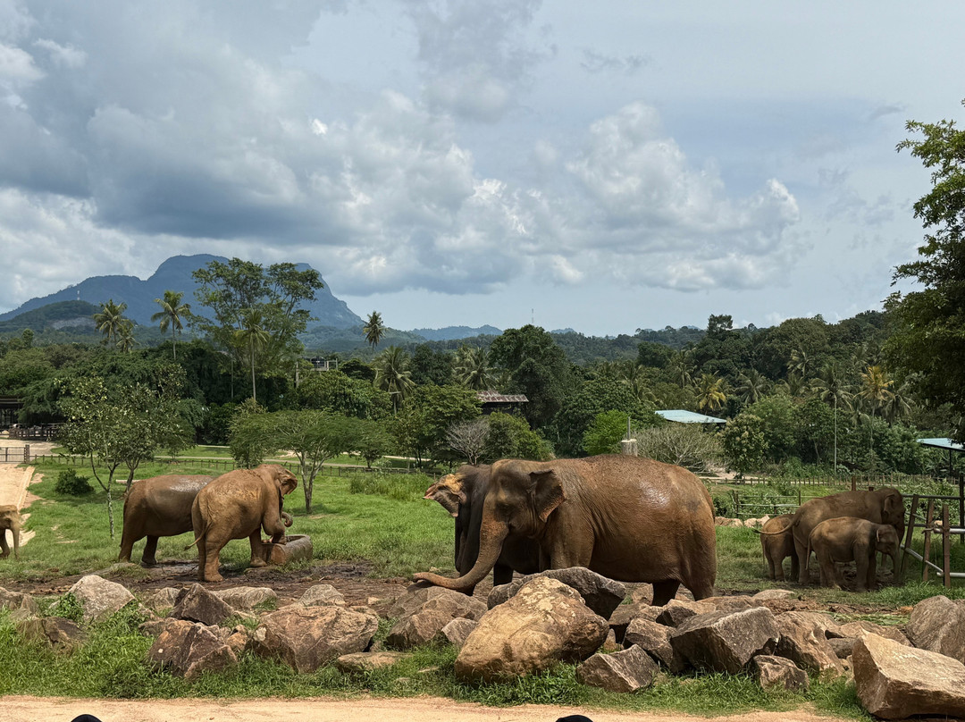 Travelling Pearl Lanka-尼甘布必去景点