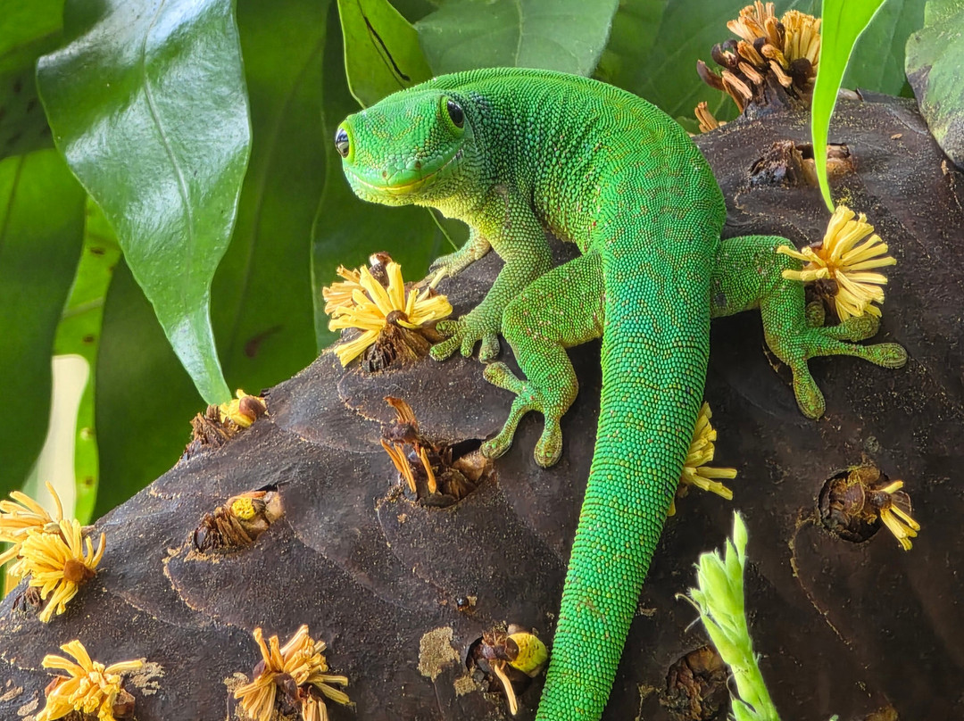 Edelweiss Tours, Seychellen-普拉兰岛必去景点